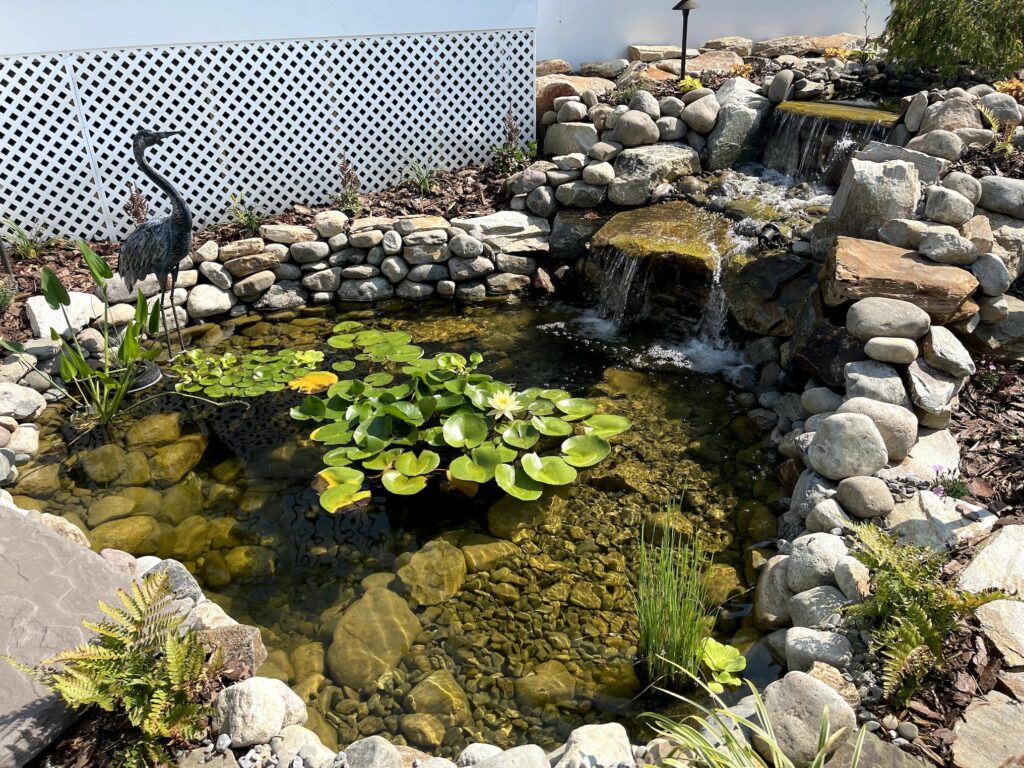 Bolder-lined pond backyard elegant bird statue, lily pads,  waterfall